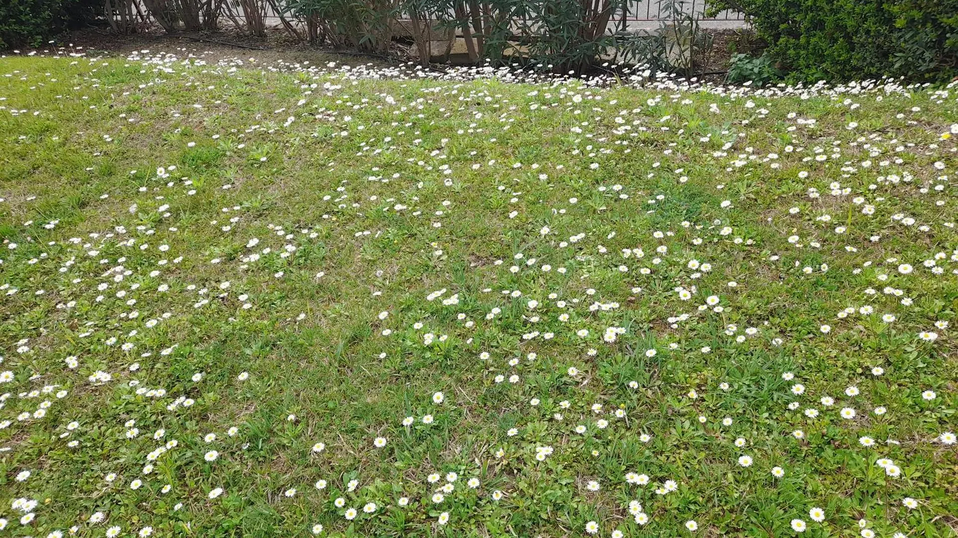 アパート Mahatma Residence Lake View ラツィーゼ イタリア